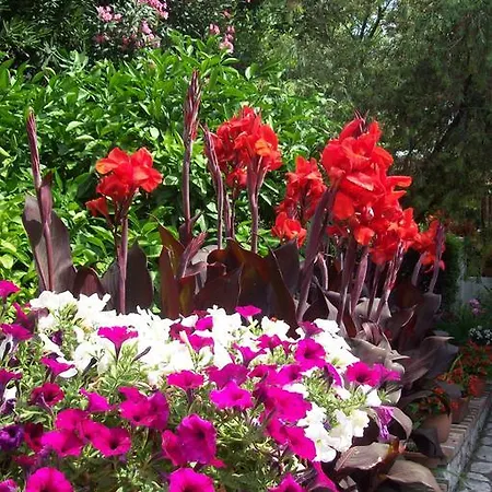 Rozic Apartman Rab Town