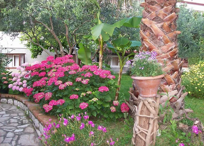 Rozic アパート *