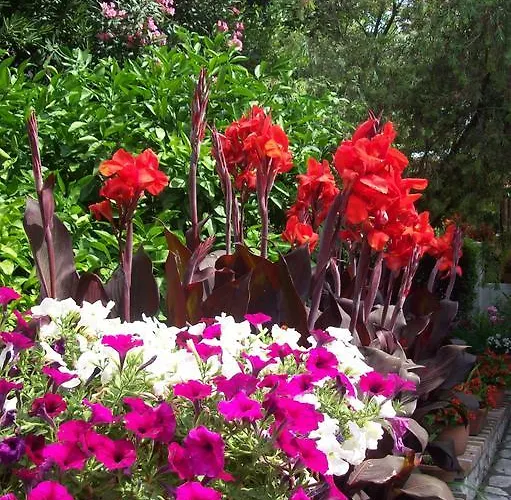 Rozic Apartment Rab Town