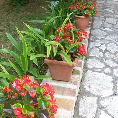 Apartment Rozic Rab Town