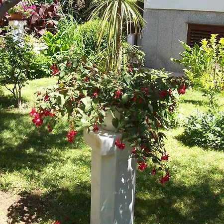 Rozic Apartment *