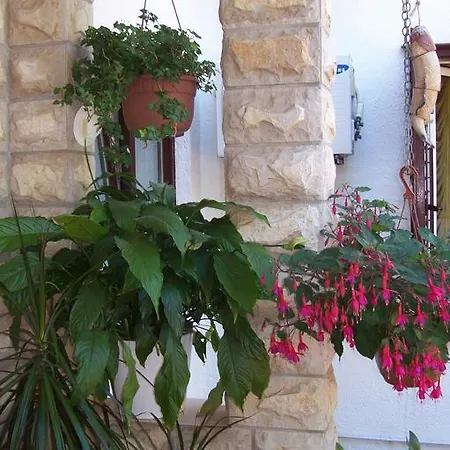 Apartment Rozic Rab Town