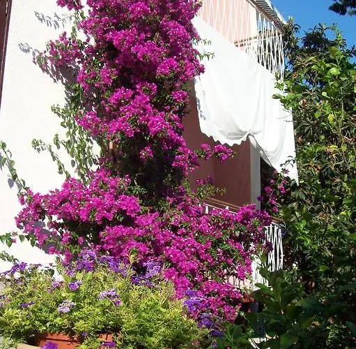 Apartament Rozic Rab Town